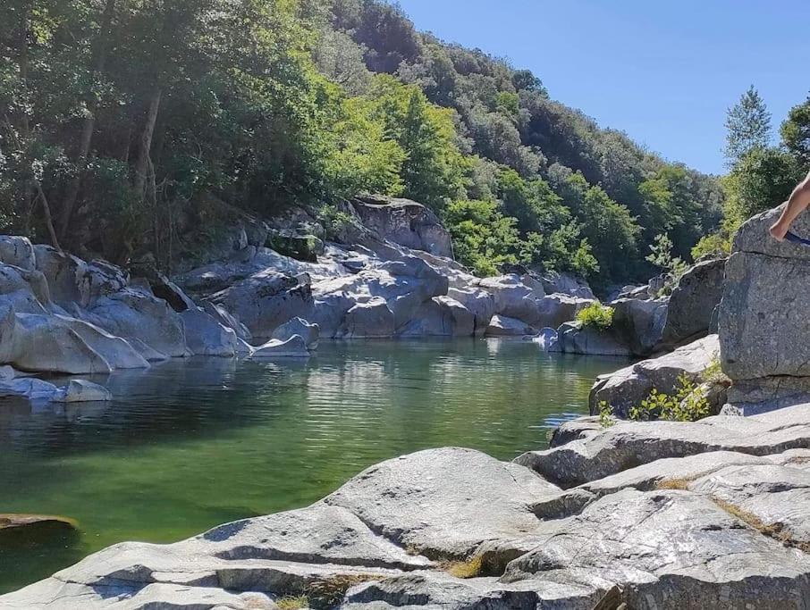 Gite Des 3 Vallees - Le Soleil Des Cevennes Apartman Saint-Jean-du-Gard Kültér fotó