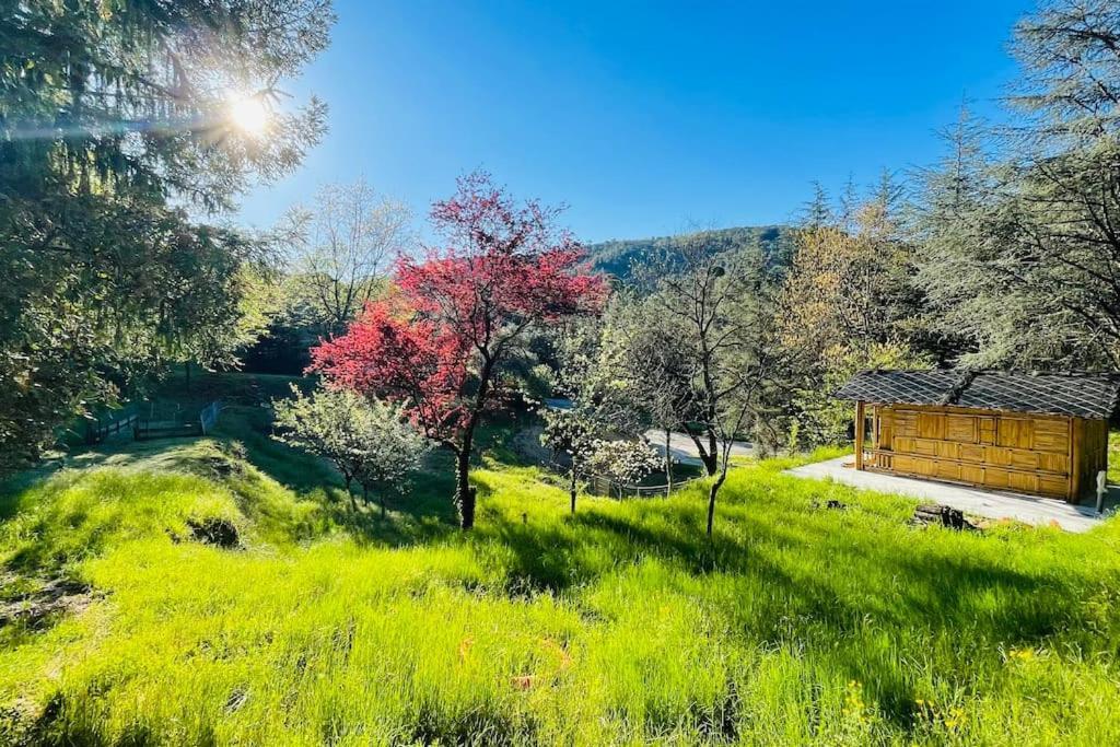 Gite Des 3 Vallees - Le Soleil Des Cevennes Apartman Saint-Jean-du-Gard Kültér fotó