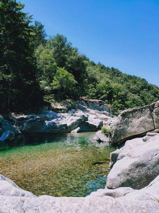 Gite Des 3 Vallees - Le Soleil Des Cevennes Apartman Saint-Jean-du-Gard Kültér fotó