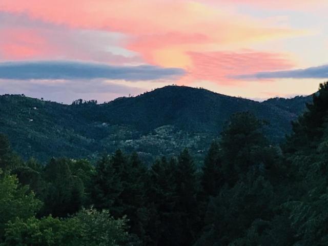 Gite Des 3 Vallees - Le Soleil Des Cevennes Apartman Saint-Jean-du-Gard Kültér fotó