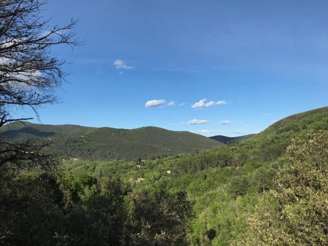 Gite Des 3 Vallees - Le Soleil Des Cevennes Apartman Saint-Jean-du-Gard Kültér fotó